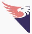Allied Federal Services: